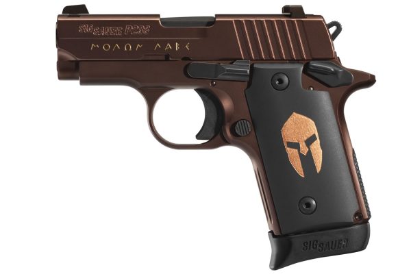 P238 Spartan 380 ACP with Night Sights