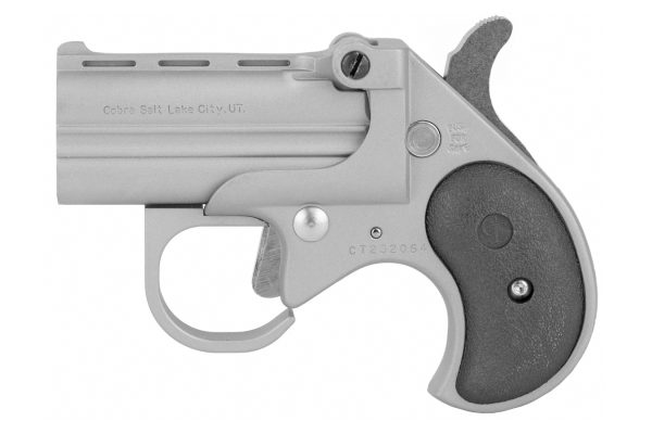 22 WMR Big Bore Derringer Guardian Package with Satin Finish and Black Grips