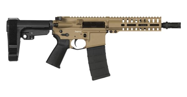 Banshee 300 MK4 300 Blackout Pistol with Flat Dark Earth Finish